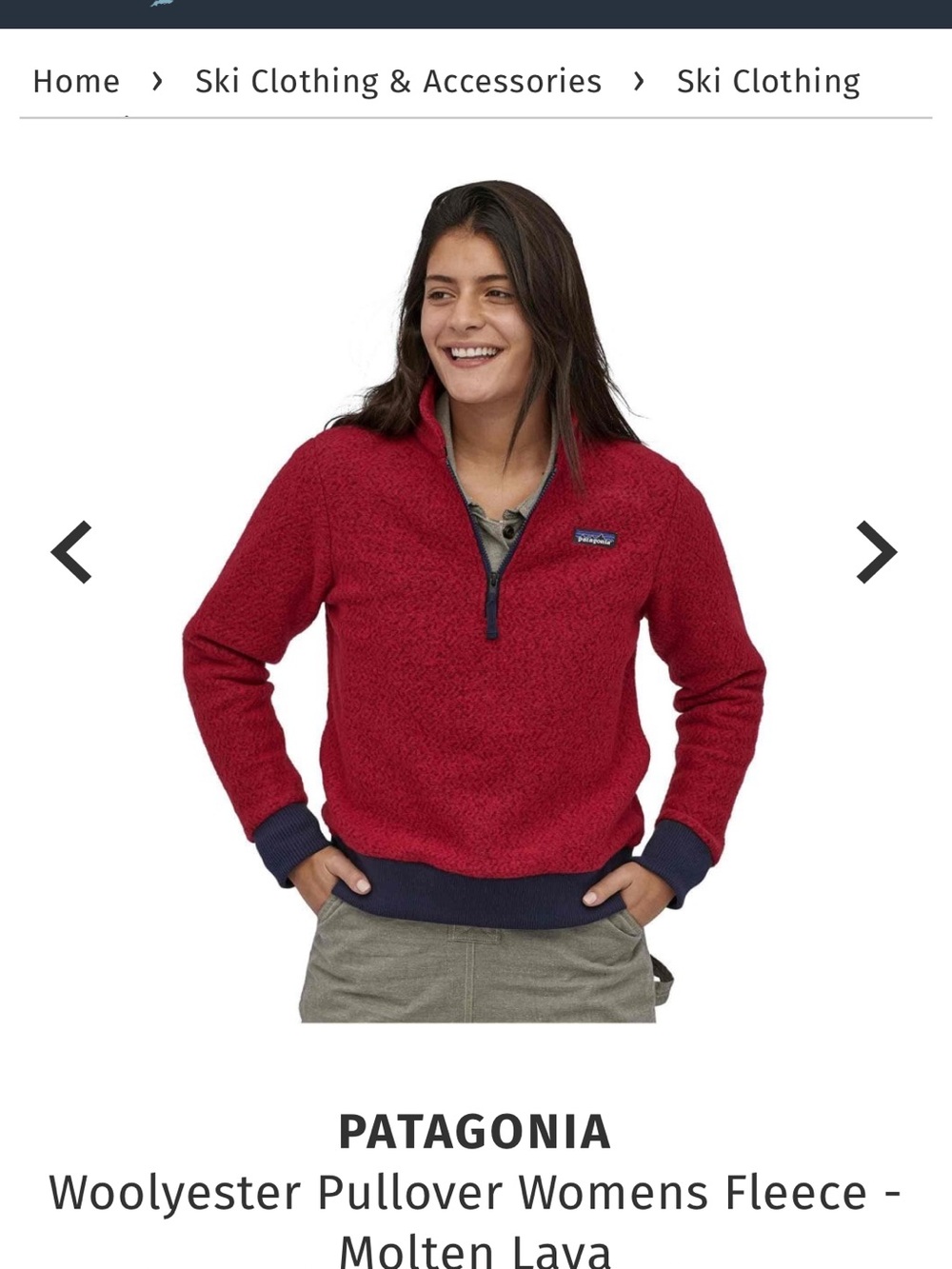 Patagonia Woolyester Pullover NWT